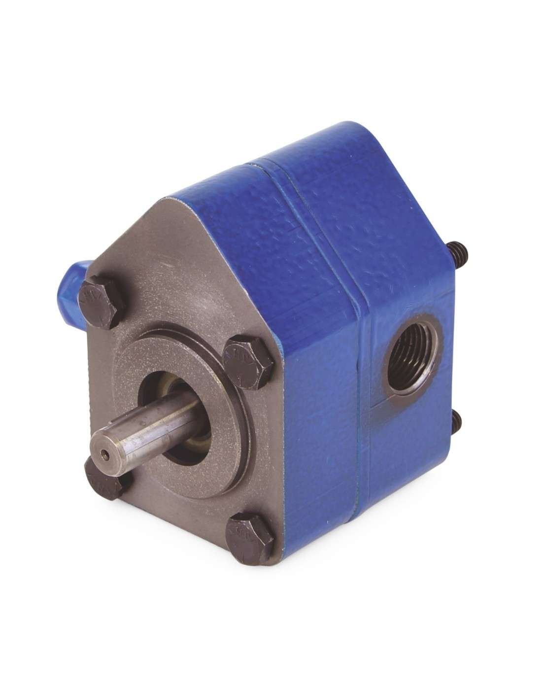 557815 - BOMBA ELÉCTRICA METER-FLO®, 84 PULG. CÚB./MIN (1377 CC/MIN) A 1725 RPM, PUERTOS NPT, ROTACIÓN EN SENTIDO ANTIHORARIO