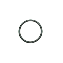 C20317 - O-RING