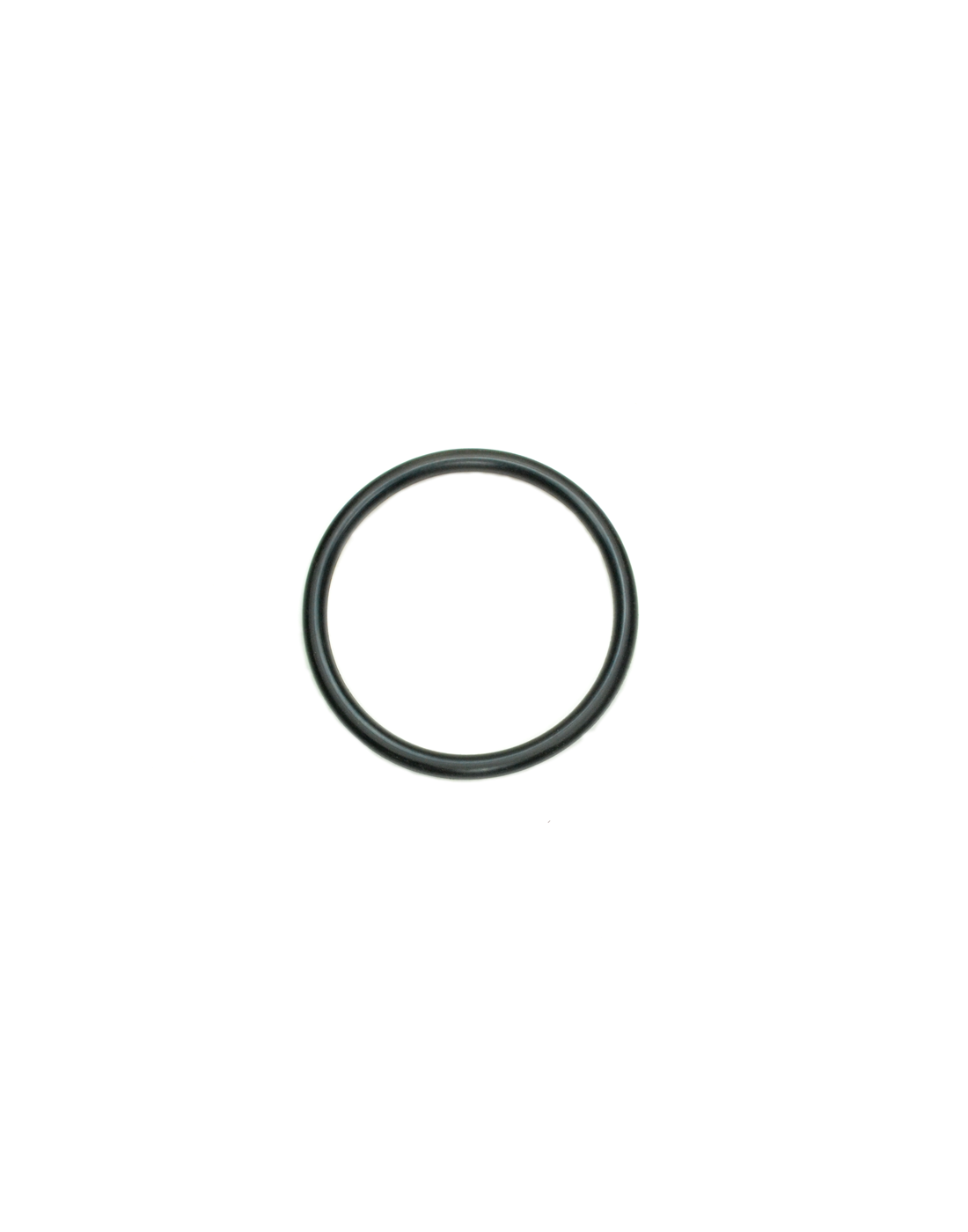 C20317 - O-RING