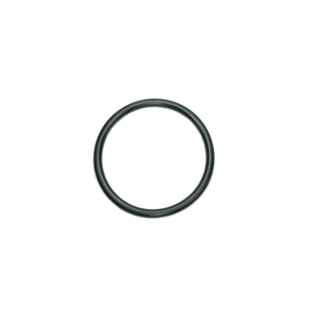 C20314 - O-RING