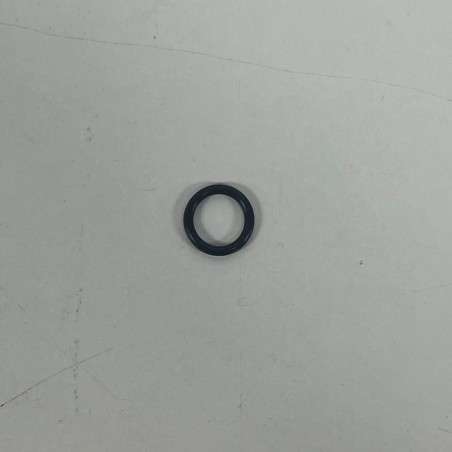106555 - O-RING