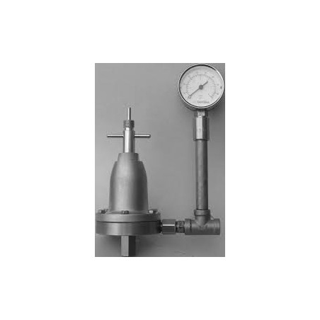 FLUID REGULATOR WITH 1.2 BAR GAUGE - HGB-609-1.2-R38 - Carlisle