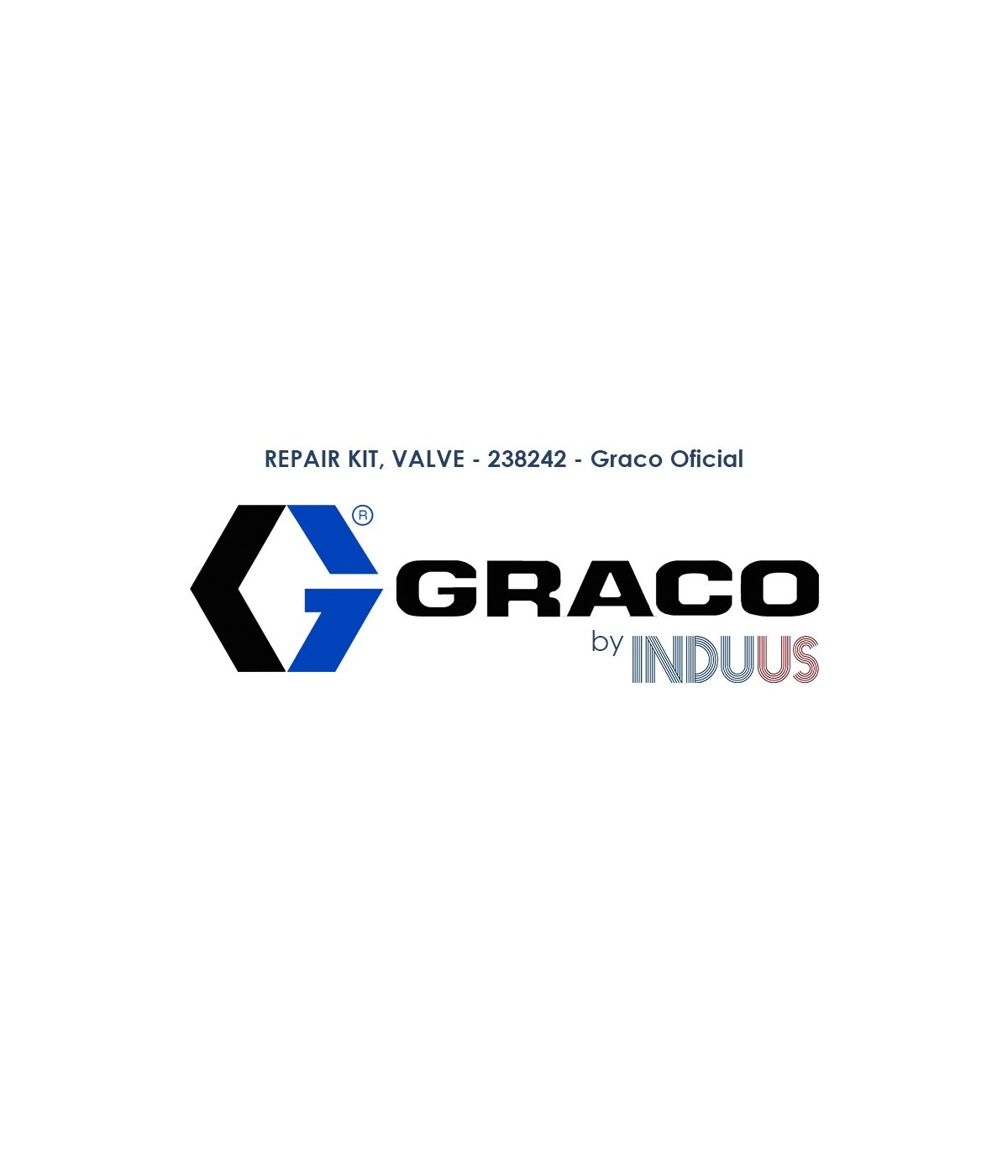 REPAIR KIT, VALVE - 238242 - Graco Oficial