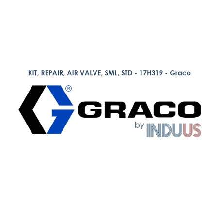 KIT, REPAIR, AIR VALVE, SML, STD - 17H319 - Graco