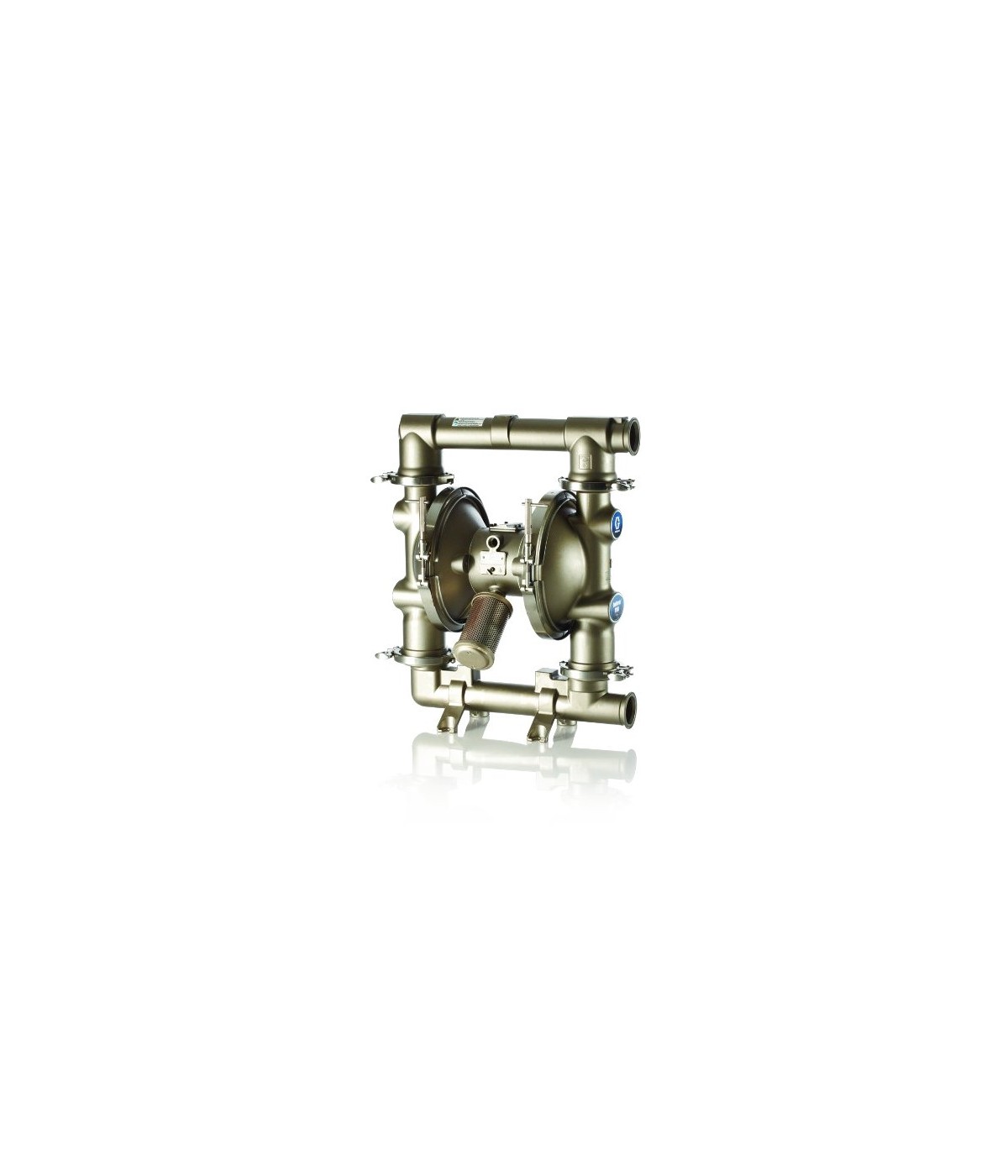 SANIFORCE AODD PUMP,2150FG-PS01AS13SSSPSPPT21 - FD3122 - Graco