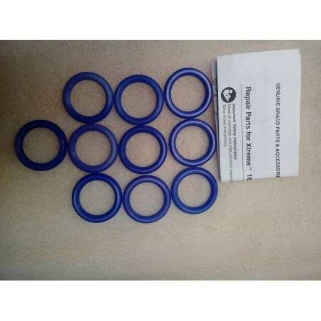 KIT, REPAIR, 10 PK UHMW, 180 - 244864 - Graco