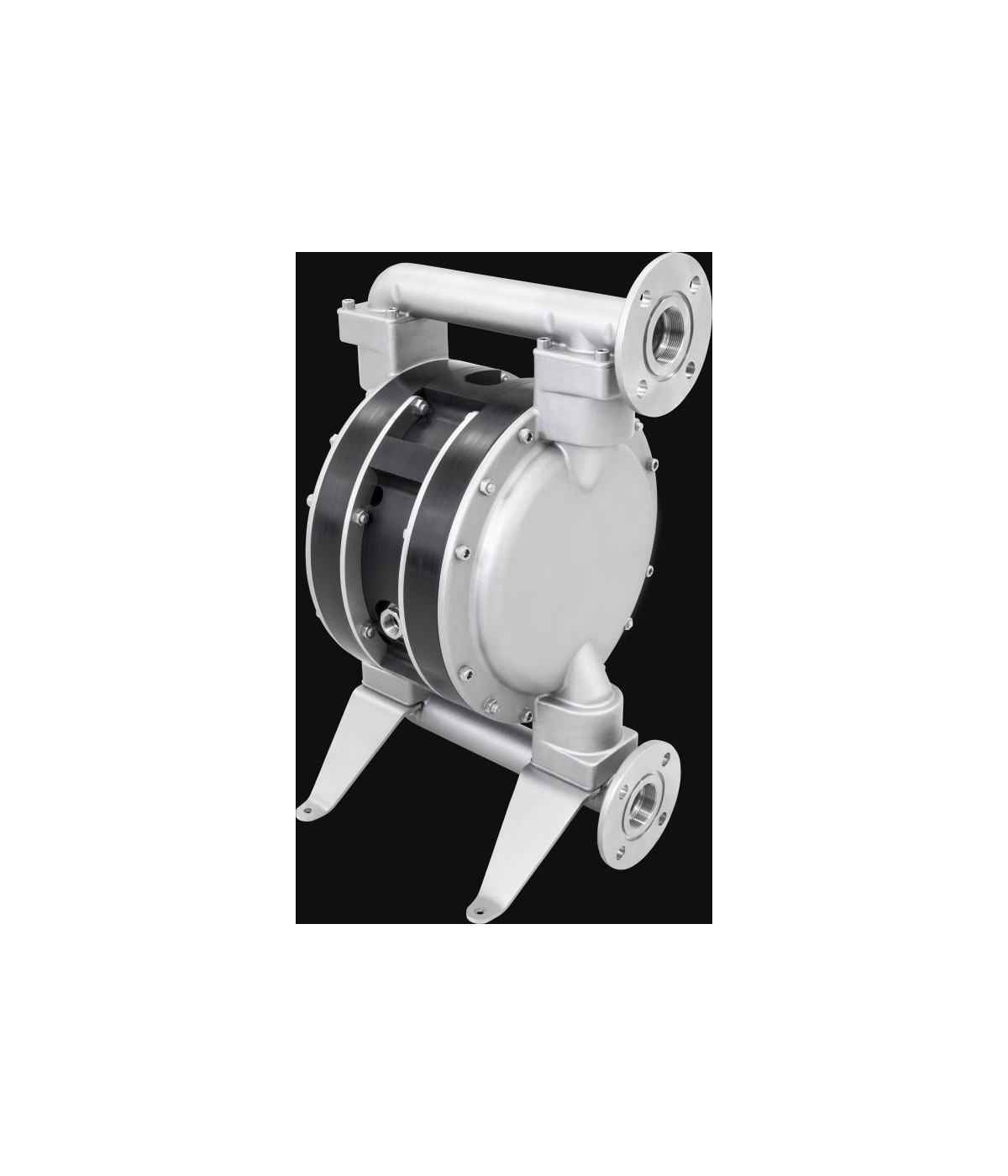 double diaphragm pump timPRO Typ PTI-MEM5600V (Stainless steel)