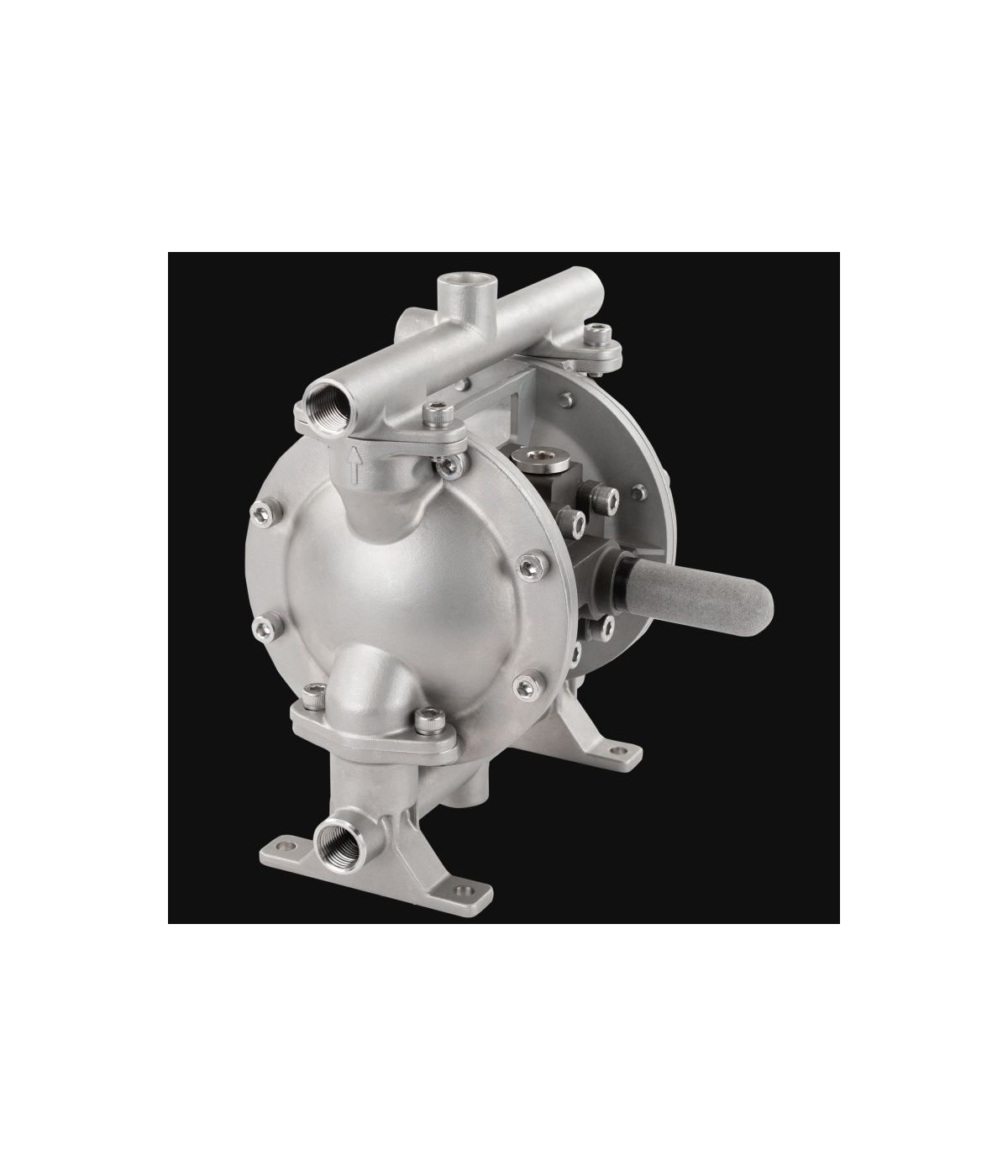 double diaphragm pump timCLASSIC Typ PTI-MEM4060V-VA (Stainless steel)