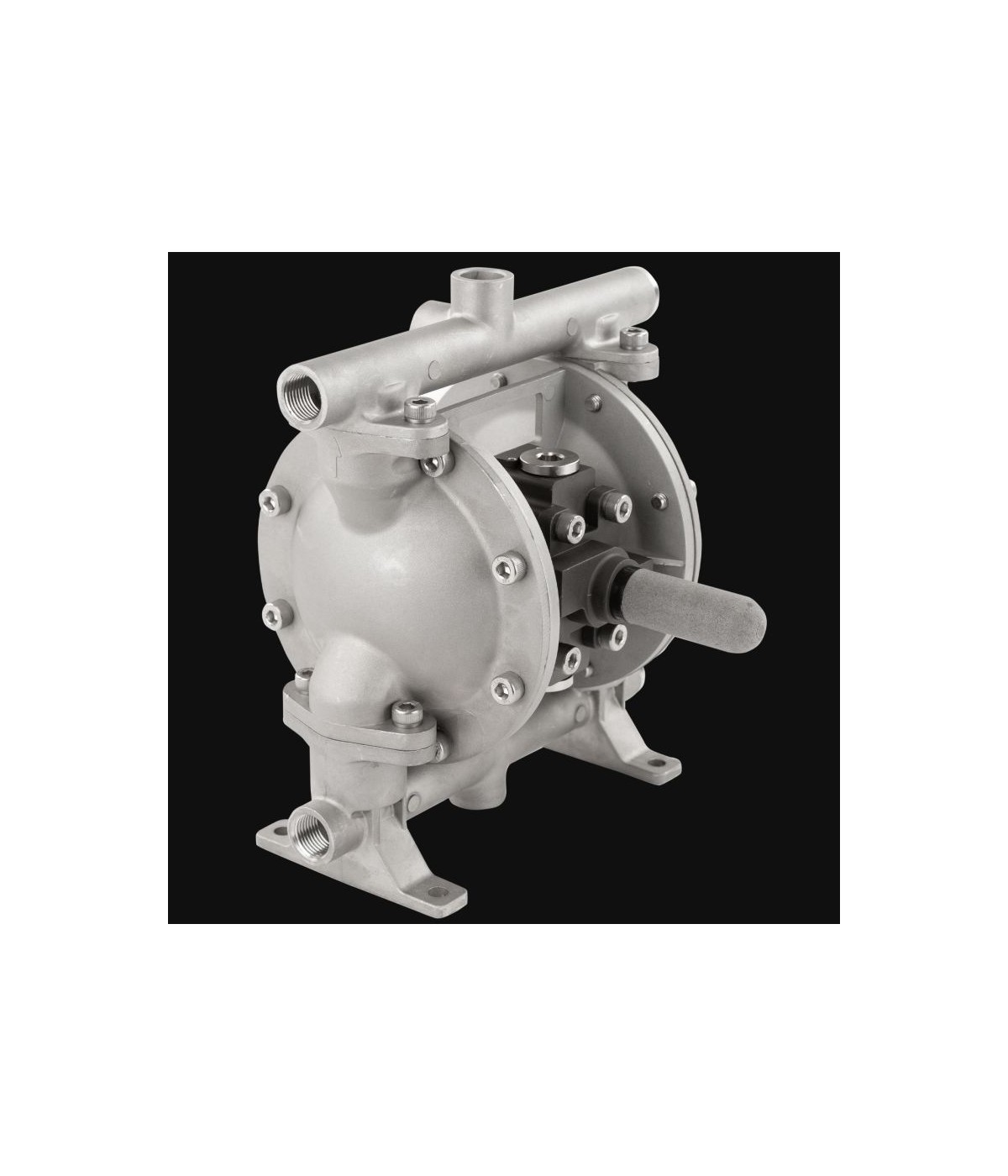 double diaphragm pump timCLASSIC Typ PTI-MEM4060V-AL (Aluminum)